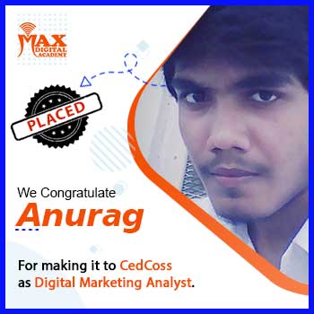 Placed By Max Digital Academy