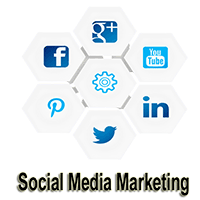 you will learn different platforms of social media marketing
